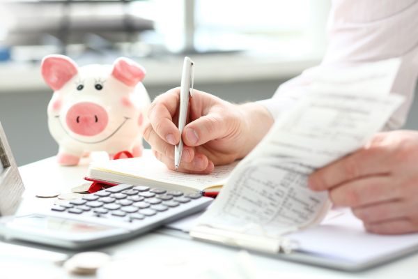 Carol Borelli Controle Financeiro Fluxo de Caixa Essencial
